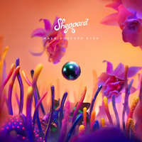 sheppard cover