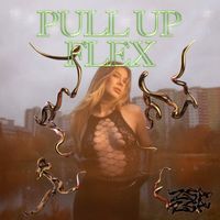 ZsaZsa_PullUp_Cover_Layout